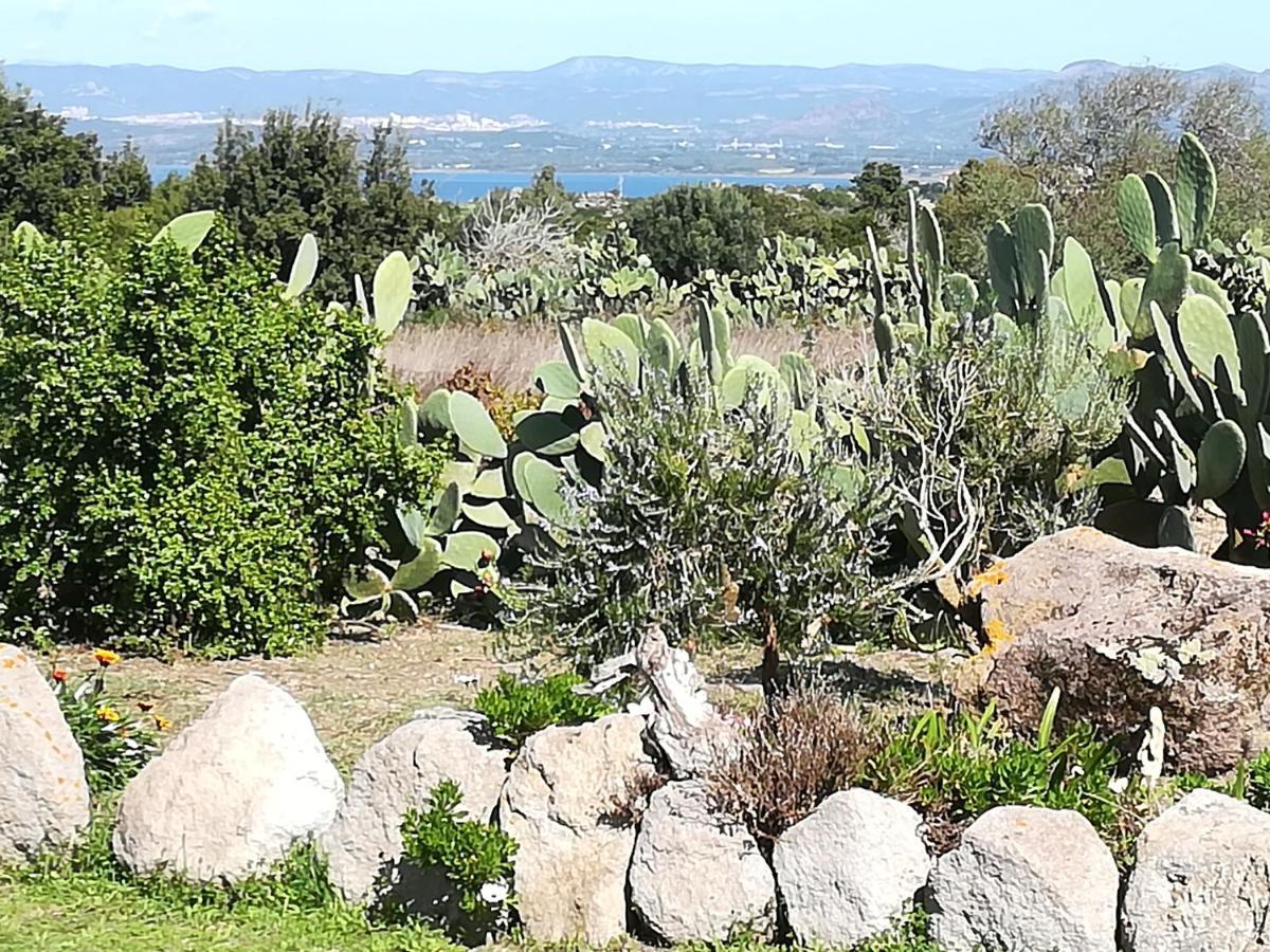 L'Oasi Villa SantʼAntìoco Eksteriør bilde