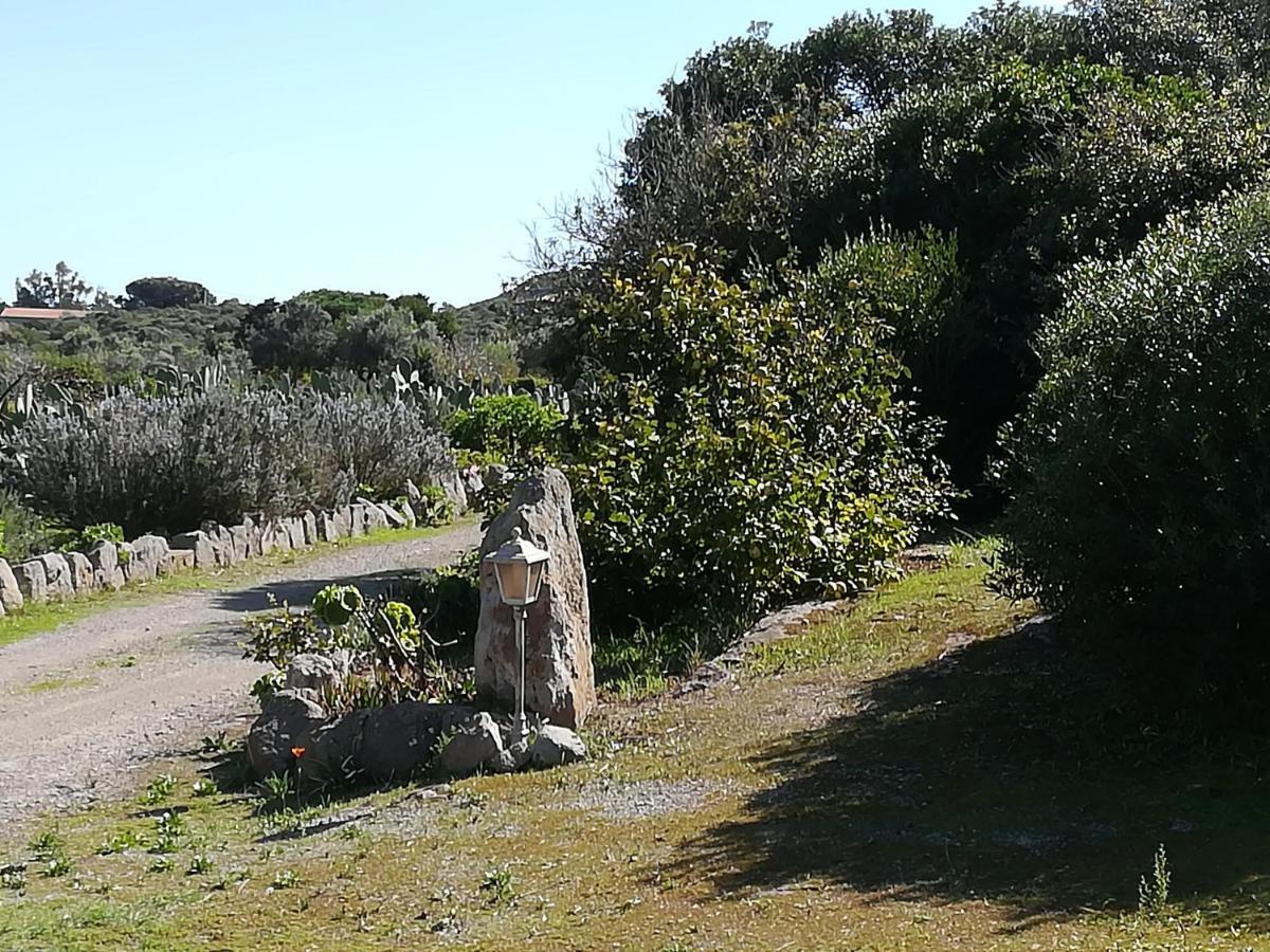 L'Oasi Villa SantʼAntìoco Eksteriør bilde